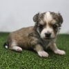 504706634_small Twix